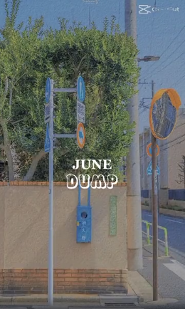 June Dump CapCut Template