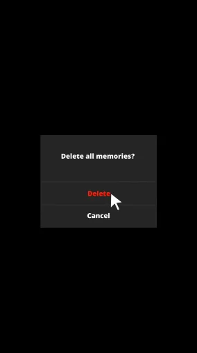 Delete All Memories CapCut Template